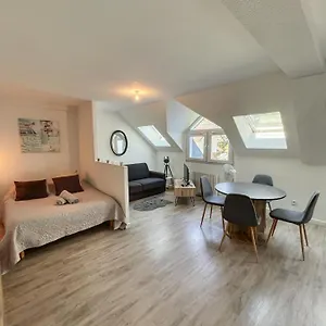 Magnifique T1 Bis Triangle D Or - Parking - Wifi Annecy